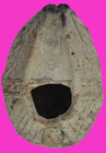 Oil Lamp Anceint Holy Land Artifact